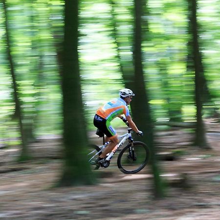 Chalet Op De Veluwe # Linde Putten Luaran gambar