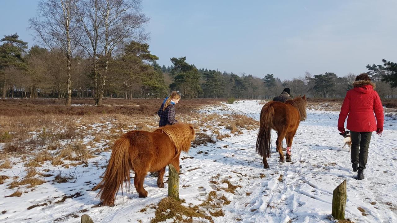 Chalet Op De Veluwe # Linde Putten Luaran gambar