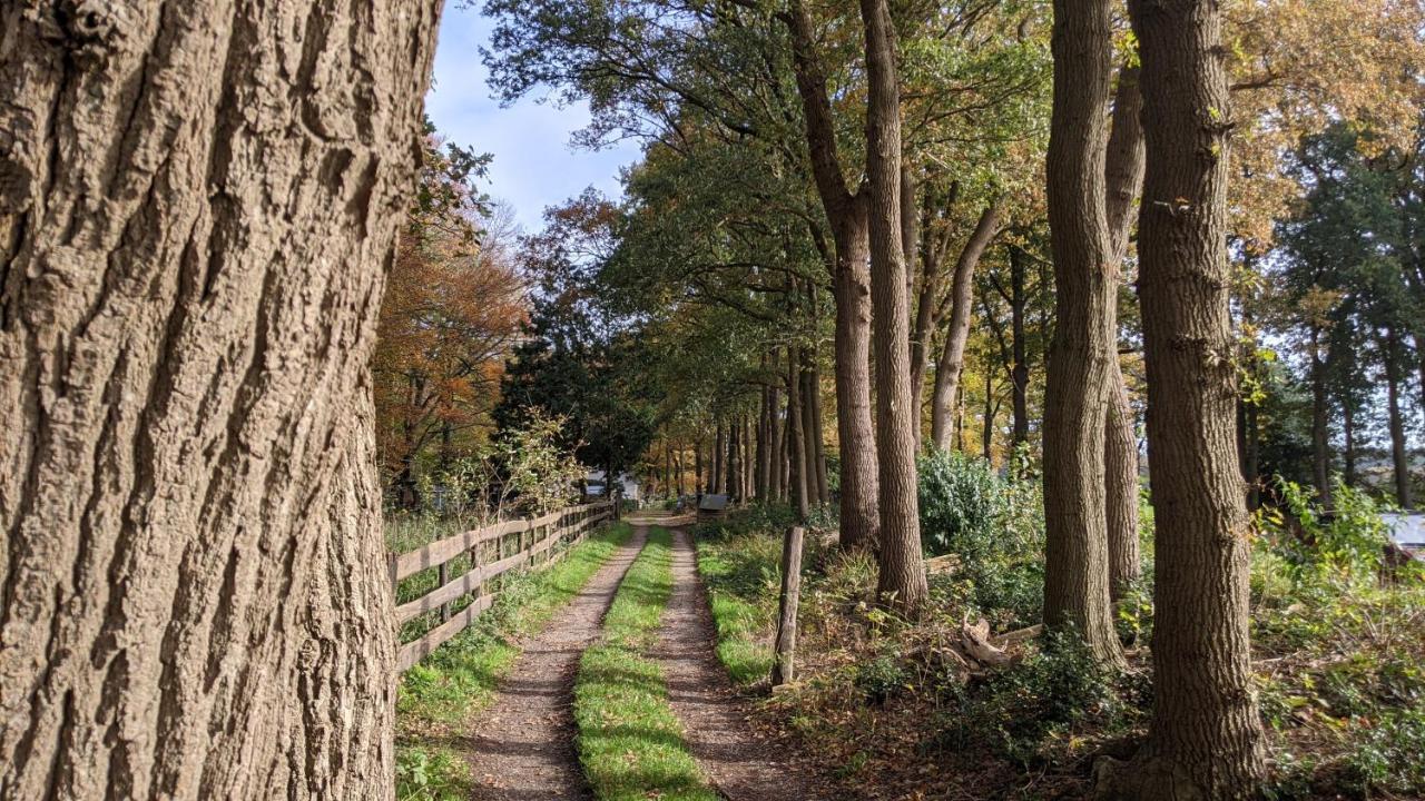 Chalet Op De Veluwe # Linde Putten Luaran gambar