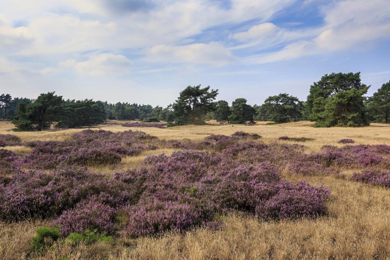 Chalet Op De Veluwe # Linde Putten Luaran gambar